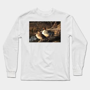 Northern pintail ducks, wildlife gifts, waterfowl Long Sleeve T-Shirt